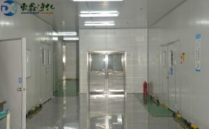 潔凈無(wú)塵車(chē)間裝修建筑布局設(shè)計(jì)【東鑫凈化】